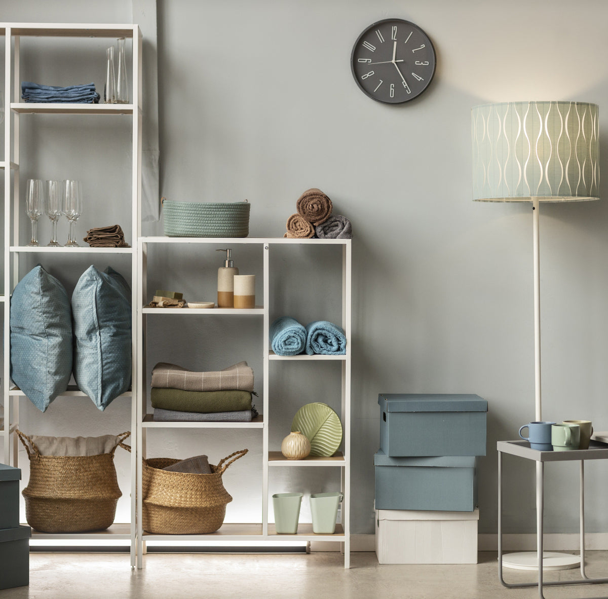 Storage and Organization